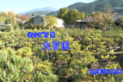 街かど百景：大苔園