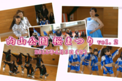 Ｅｖｅぽけ：向山公園　桜まつりｖｏｌ.２