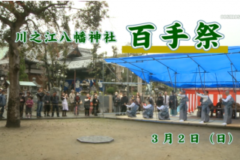 Ｅｖｅぽけ：川之江八幡神社　百手祭