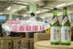 Ｅｖｅぽけ：梅錦山川 立春朝搾り