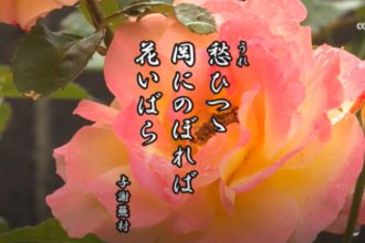 花ごよみ　薔薇【与謝蕪村（よさぶそん）】