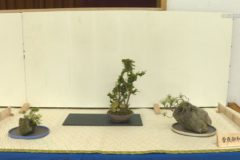第51回緑風展