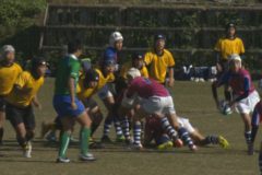 第29回愛媛県中学校新人体育大会ラグビーフットボールの部