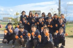 北小学校６年生がみかんを収穫