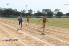 平成29年度四国中央市中学校総合体育大会　陸上競技