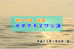 Ｅｖｅぽけ：瀬戸内海燧灘カタクチイワシ漁