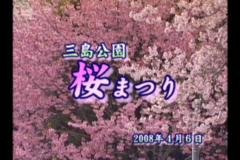 Ｅｖｅぽけ：三島公園桜まつり