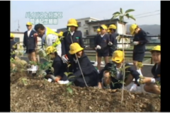 Ｅｖｅぽけ：川之江三島バイパス上分地区　開通記念植樹