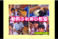 Ｅｖｅぽけ：動物ふれあい教室