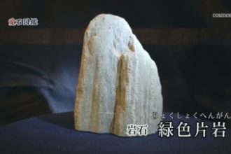 愛石図鑑 vol.13「緑色片岩・単斜輝石」