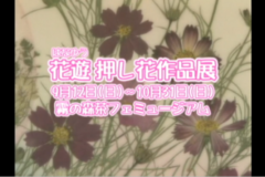花遊押し花作品展
