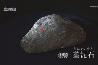愛石図鑑 vol.10「菫泥石・チタン鉄鉱」