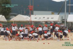 19.玉入れ（1年生団体）2019年度妻鳥小学校秋季大運動会