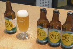 梅錦山川　河内晩柑ビール発売