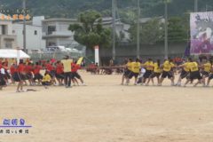 １１．綱引き　２０２０年度三島高校秋季大運動会
