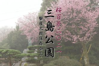 桜百景２０２１　三島公園ー磐座太鼓保存会ー
