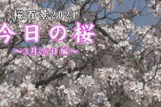 桜百景2021　今日の桜～3月26日編～
