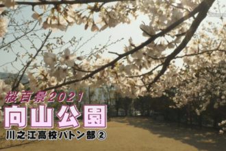 桜百景2021　向山公園－川之江高校バトン部②－