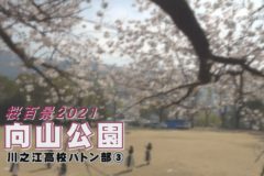 桜百景2021　向山公園－川之江高校バトン部③－　