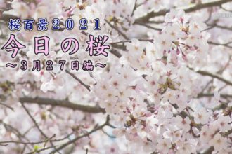 桜百景2021今日の桜３月２７日編
