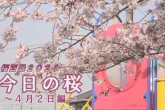 桜百景2021　今日の桜～4月2日編～