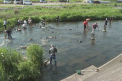 銅山川鮎釣りクラブ　鮎の放流準備　金生川清掃