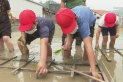 南小学校　田植え体験