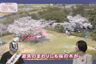 桜めぐり　三島公園