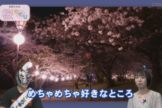 桜めぐり　すすきが原入野公園