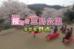 桜百景2022　三島公園　淡交会野点
