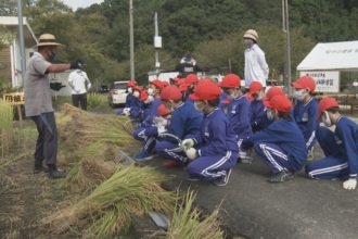 南小学校 稲刈り体験学習　　　　