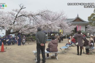 市内各地域で桜まつり開催