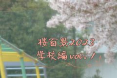 桜百景2023　学校編vol.1