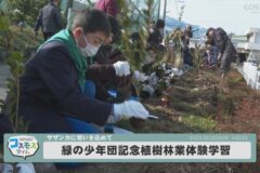 緑の少年団記念植樹林業体験学習