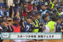 スポーツ少年団体験フェスタ