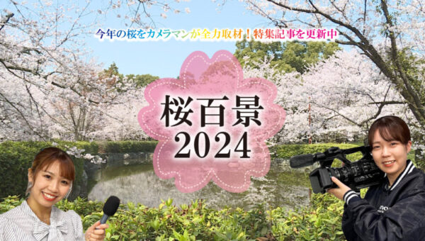 取材スタッフが紹介！四国中央市の桜百景2024【取材予定を更新しました】