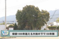 樹齢1000年を超える大柏の下で100年祭