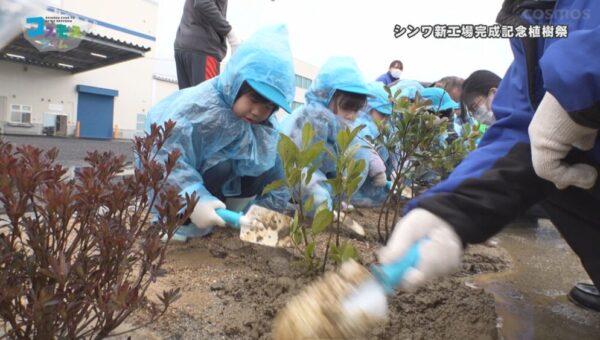 シンワ新工場完成記念植樹祭