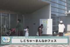 しこちゅ～まんなかフェス