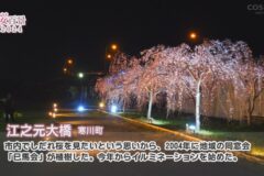 【桜百景2024】江之元大橋