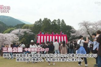 【桜百景2024】三島公園