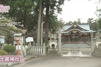 【桜百景2024】土居神社