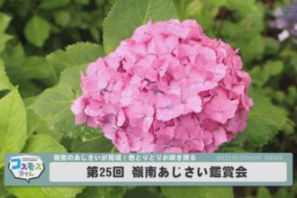 第25回 嶺南あじさい鑑賞会 第25回 嶺南あじさい鑑賞会