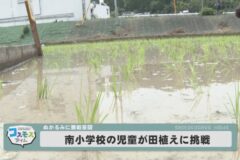 南小学校の児童が田植え体験