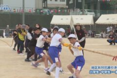 6. 地区別対抗綱引き（小学生・中学生・一般） ２０２４ 寒川大運動会