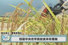 四国中央市学校給食米収穫祭