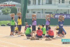 7.力士入門（各団男子選抜）　2024年度川之江高校体育祭