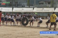 9.タイヤひきひき　こしたんたん（2年生）　2024年度川之江南中学校体育祭