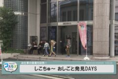 しこちゅ～ おしごと発見DAYS