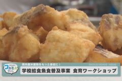 学校給食魚食普及事業 食育ワークショップ